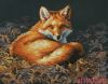 Dimensions 35318, Sunlit Fox
