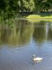 390909564_2022-08-0412-41-12.thumb.JPG.63c54edf4f43197c2b90ef2c8f2280d7.JPG