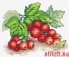48687.thumb.jpg.f501ef220c3ebad54b70f152a4f35e78.jpg