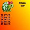 61861296_6.thumb.jpeg.5d92c6ce45de5c081c9d15802c5625ab.jpeg