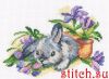 83A1C097-C66D-479C-A9D4-DDAFA512B649.thumb.jpeg.cfc567c816d3ff67ee44875f88f601bb.jpeg
