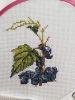 8EAB972F-D02D-4302-BE0A-D952A7642731.thumb.jpeg.07d5ac470f6966e441f9298c21a0a6f3.jpeg