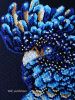 934742241_6.jpg.865fe9d625d7558b0688487860c9b349.thumb.jpg.020933976dc22d1a65a0e420c17b5b8a.jpg