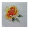 A3D7E277-FA6F-480A-A66B-88ADA7DF9EAA.thumb.jpeg.9f99c6d77ded82ad7e1d4b2bcb8c4c7d.jpeg