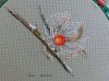 C2D9BEAC-0416-400C-9010-ECA04A5DA93C.thumb.jpeg.9cd991f4d5165fa10f4f04266557b454.jpeg