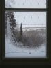 DSC00509.thumb.jpg.7eee07801acbd623e1690f28b6e3be76.jpg