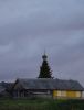 DSC03444.thumb.jpg.75fe4399bbb9e997b8521dbd8363564f.jpg