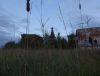 DSC03467.thumb.jpg.e833d27c6c69b7b70a6e6f0606c8b830.jpg