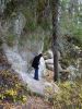 DSC03728.thumb.jpg.b2adfab7dd13e46b54bef6eb568b84e4.jpg