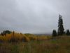 DSC03762.thumb.jpg.9d257c5013f5e96008c40f6e4b3ea171.jpg