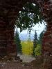 DSC03764.thumb.jpg.f1daf122cde863010844459363cd31db.jpg