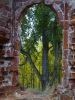 DSC03765.thumb.jpg.bd5294e95935e645dae25d7d301792d6.jpg
