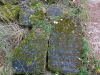 DSC03767.thumb.jpg.e735ed96b45e4a5ea9c24ed874b49b76.jpg