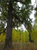 DSC03773.thumb.jpg.866badf55a1747feefa49b2ff337dbab.jpg