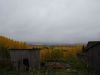 DSC03778.thumb.jpg.8db5a82fb312a698c3ad8be6051efc9a.jpg