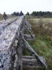 DSC03967.thumb.jpg.d4fc8f971566370c76953ad4933e0c81.jpg
