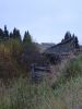 DSC03973.thumb.jpg.2e7255b8486fc1f93f9e4e559f0f93f3.jpg