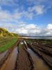 DSC04094.thumb.jpg.853d97cf926a14ba2891af8e42f29f0a.jpg