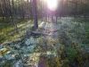 DSC04120.thumb.jpg.2897aa242c57c6fcbb56572c3d736a56.jpg