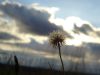DSC04128.thumb.jpg.6a05a851acfd77b314a8cab1d951b20f.jpg