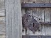 DSC04137.thumb.jpg.53291ef29b2568bf56fb73fe61ff77c7.jpg