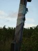 DSC04142.thumb.jpg.5bc13b38881dff7a00d08030a60e8c31.jpg