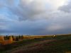 DSC04149.thumb.jpg.79063cd883535f896eebe7fe383836c0.jpg