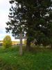 DSC04157.thumb.jpg.72f5128e3f0f63489968e9be71ba0eb4.jpg