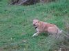 DSC04161.thumb.jpg.9be4e13021c9484de651782c59ff86c1.jpg