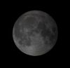 DSC05781.thumb.JPG.d31520f53c2c010baa93aabc4f2b497e.JPG