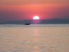 DSCF0635.thumb.JPG.c5253bc9ee408a1a817ac5ff9463e8bd.JPG