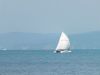 DSCF0667.thumb.JPG.486a1d7efcd6a15bd3dd24ead1088886.JPG