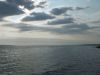 DSCF0745.thumb.JPG.ad248eb7351cba28d17b765d83a2b5c3.JPG