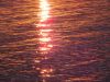 DSCF0749.thumb.JPG.a01a11f4168b9e96c1cbf6a59db97efc.JPG