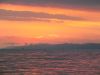 DSCF0784.thumb.JPG.b1c15007d56fbf3f8b18267310437ff0.JPG