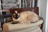 DSC_0130.thumb.JPG.6c3ea2b00988f7645ee6efe299625467.JPG
