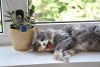 DSC_0264.thumb.JPG.1265988f45290a7546d6a24308c21ade.JPG