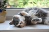 DSC_0268.thumb.JPG.0980a8ab91ed23c1f6547dfecfd6d3c4.JPG