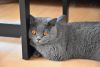 DSC_0274.thumb.JPG.9bd215256ac1a3f78ec48fc6be07d645.JPG