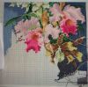 ExoticFlowers9.JPG.c20c8360436ce51b02e1bbeb4f843beb.thumb.jpg.fee4a4fda0472e987e6ef190d0e08521.jpg