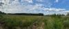 IMG-20220731-WA0014.thumb.jpg.c67aceac4763a69720b65b6c804dc487.jpg