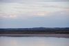 IMGP3104.thumb.jpg.ee06cad48fe6d59eb38a7dbaa116c285.jpg