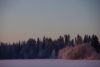 IMGP9865.thumb.jpg.009262d2b6783860e0e7a2018cbc4495.jpg