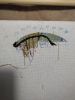 IMG_20220417_115300.thumb.jpg.c966c89562b465f5bb5139830017d5b7.jpg