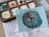 IMG_20220530_101953.thumb.jpg.6cf0c76bed04c1480eddc78d6cb11847.jpg