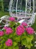 IMG_20220611_141846.thumb.jpg.6af26009c2e6d63ad0bff4098ebe2590.jpg