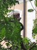 IMG_20220716_164927.thumb.jpg.80bbc4eba201d55186ae4470b2a2f7d9.jpg