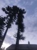 IMG_20220719_204056.thumb.jpg.966f476f97f285375448f54db81fa8e1.jpg