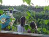 IMG_20220720_193719.thumb.jpg.a096aff32ed44dd454124aa03d4b435b.jpg