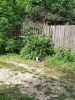 IMG_20220721_125411.thumb.jpg.c3ba98a5384982eb9c462f4cd95a3197.jpg